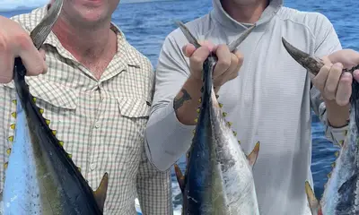 Inshore fishing 