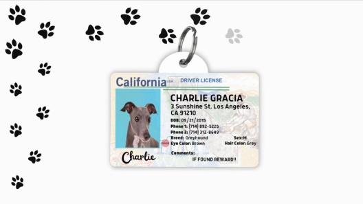 PawFurEver Pet ID License-Style Dog Tag & Wallet Card