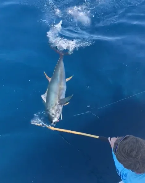Business Card: JMPNMAKO II Sport Fish Charters