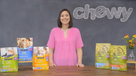 Play Video: Learn More About Kitten Chow From Our Team of Experts