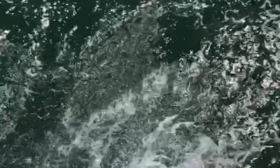 Virginia Beach Bericht Video 0