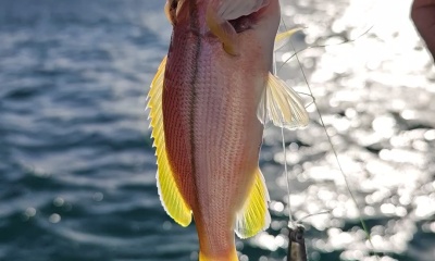 ​Great first fishing experience!