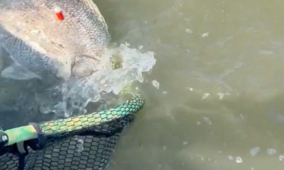Lake Charles Report Video 0