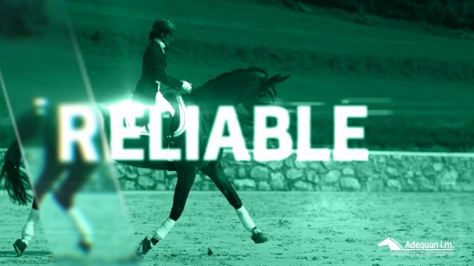 Adequan Equine i.m. (polysulfated glycosaminoglycan) Injectable for Horses, 100mg/mL