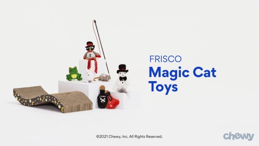 Play Video: Learn More About Frisco From Our Team of Experts