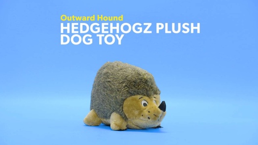 Outward Hound Hedgehogz Plush Dog Toy: $4, Senior Dog-Approved Fun