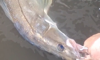 Jensen Beach Report Video 0