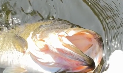 Lake Worth Report Video 0
