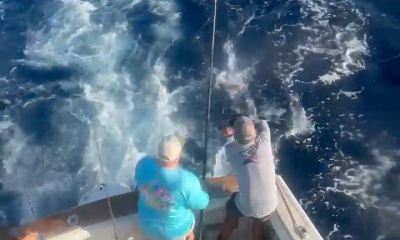 Great Day at Sea