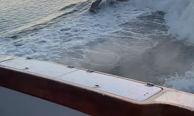 Great day for the family