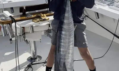 Bermuda Report Video 1