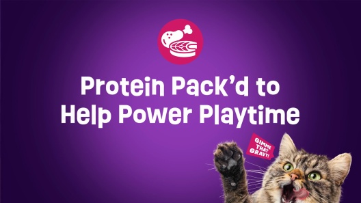 Friskies Gravy Swirlers Chicken & Salmon Flavor Dry Cat Food