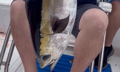 Fajardo Report Video 0