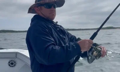 Dennis Report Video 0