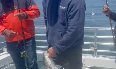 San Francisco Report Video 0