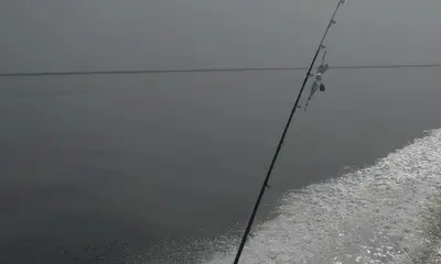 West Tawakoni Report Video 0