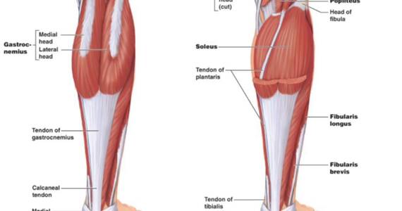 How to stretch both calves