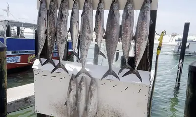 Destin Report Video 0