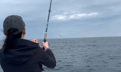 Chatham Report Video 0