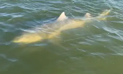 July fishing trip