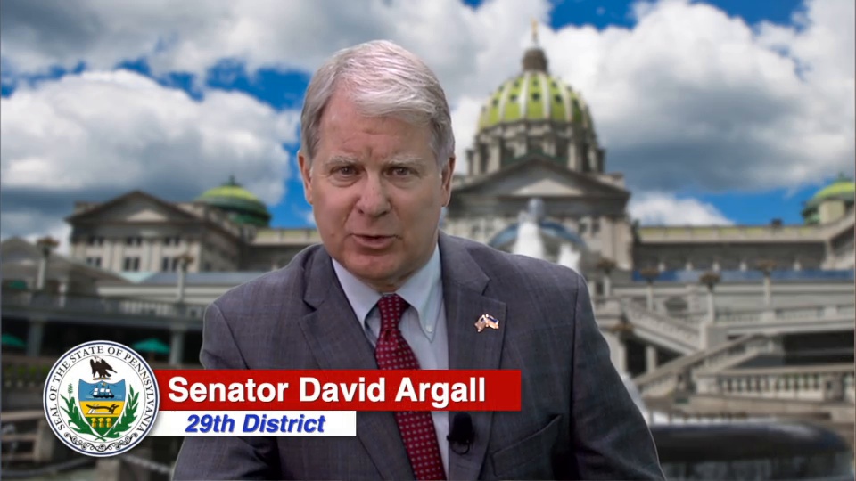 June 2022 Argall Report: Government Assistance