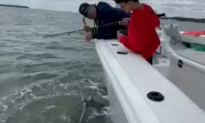 Hilton Head Island Report Video 0
