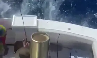 Puerto Plata Report Video 0