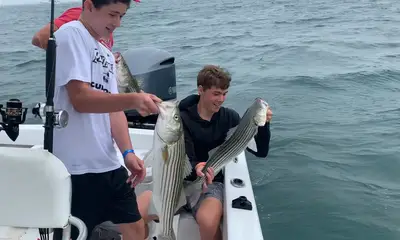 Dennis Report Video 0