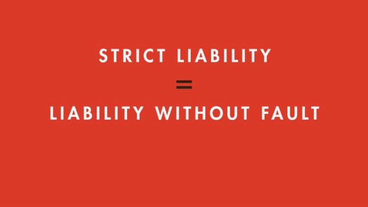 Introduction to Vicarious and Strict Liability