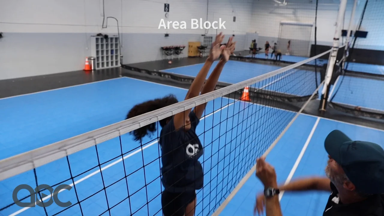 How to Play Volleyball – Rules & Key Moves