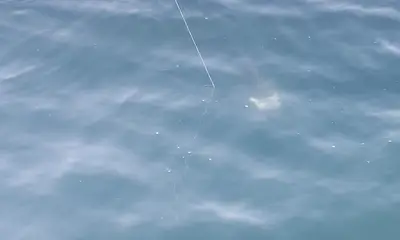 Narragansett Bericht Video 1
