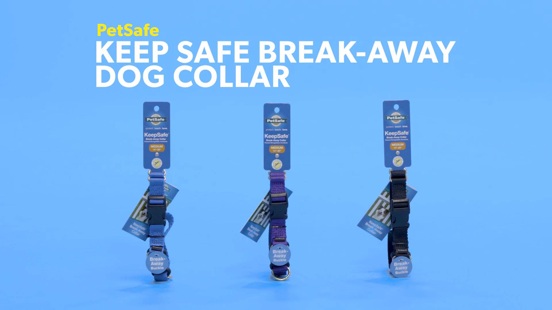 Petsafe breakaway hot sale dog collar