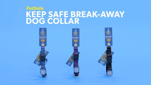 PetSafe Keepsafe 3/4-Inch Medium Break-Away Dog Collar, Royal Blue