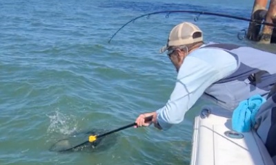 Gulf Shores Report Video 1