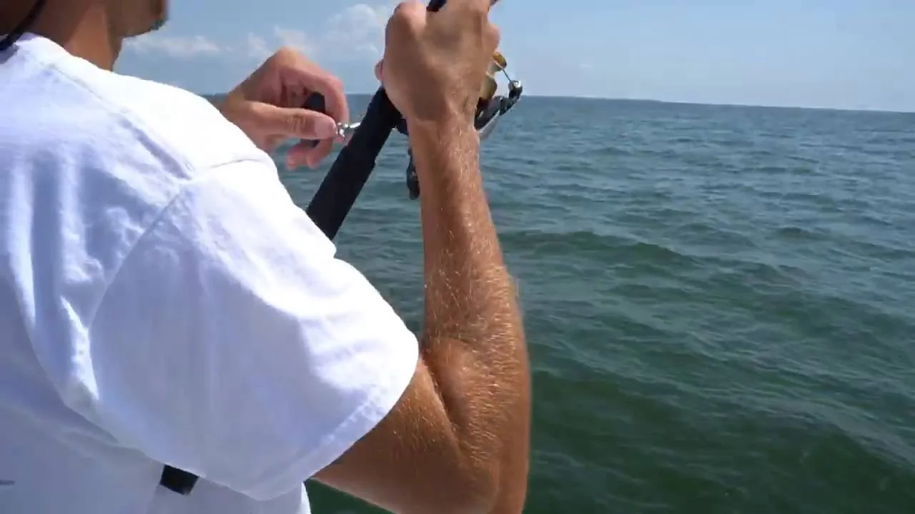 Business Card: Sporting Wood Charters
