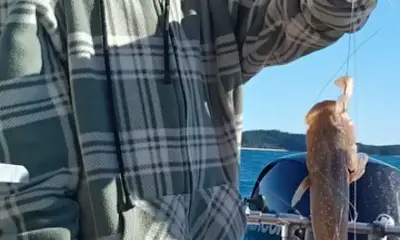 North Queensland Report Video 1