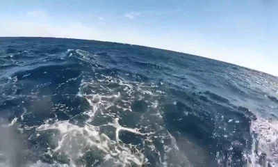 Sydney Report Video 0