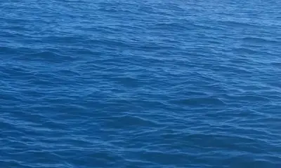 Sneads Ferry Report Video 0