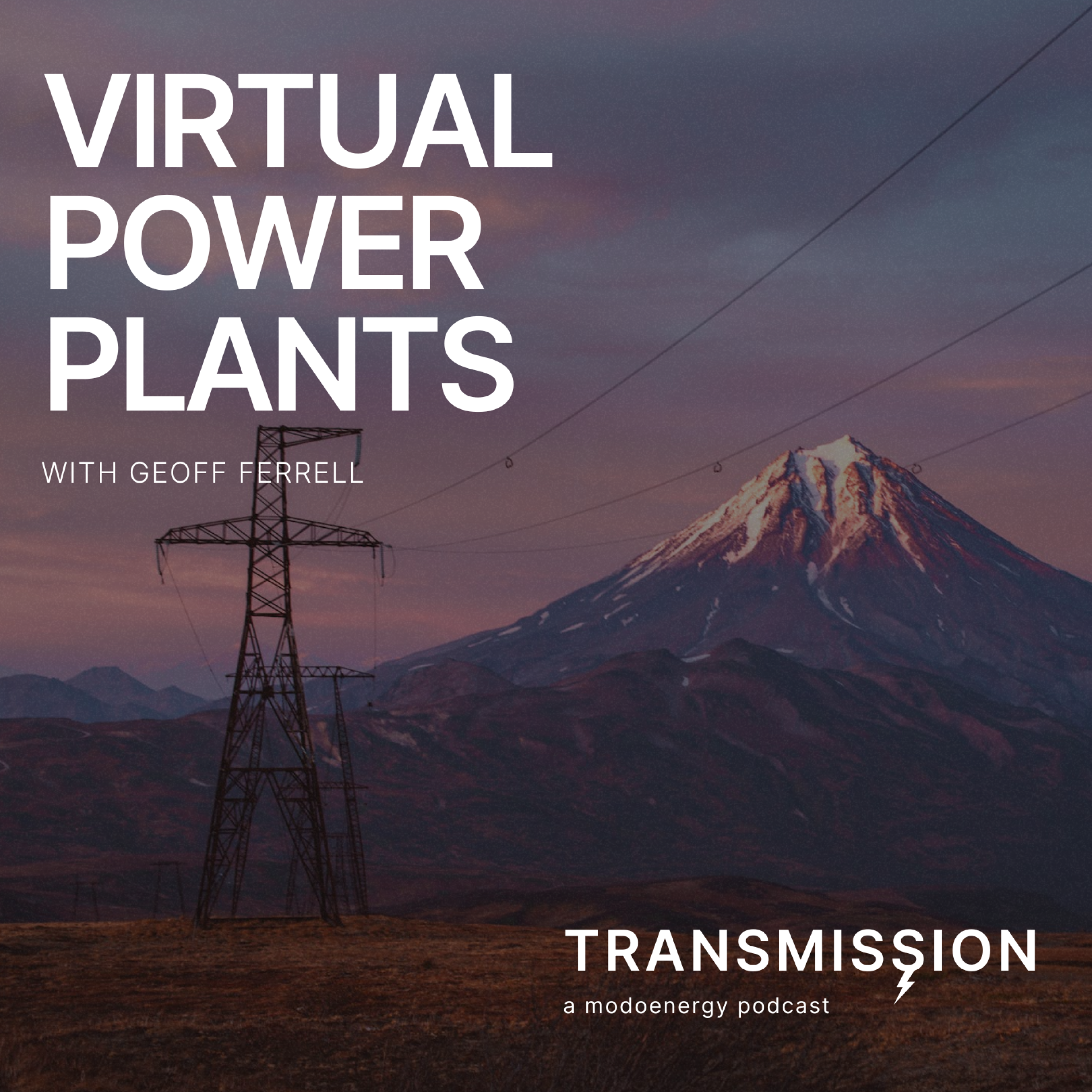 Virtual Power Plants with Geoff Ferrell (Senior Vice President @ sonnen, Inc) - podcast episode cover