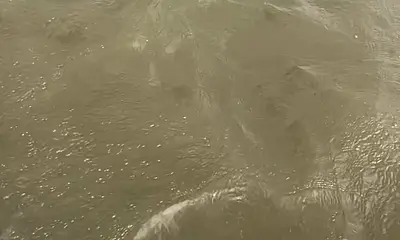 Matagorda Report Video 0