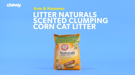 Play Video: Learn More About Arm & Hammer Litter From Our Team of Experts