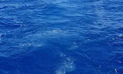 Faro Report Video 0