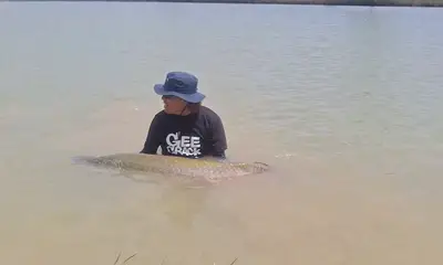 Fishing for arapaima with artificial lures