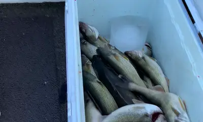 Erie Report Video 0