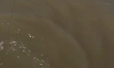 Venice Report Video 0