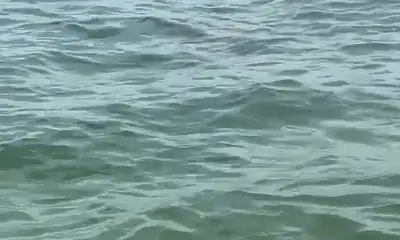 Amazing experience  