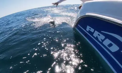 Panama City Report Video 2