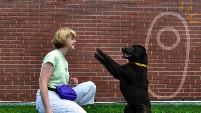 Clicking with Your Dog - Karen Pryor Clicker Training