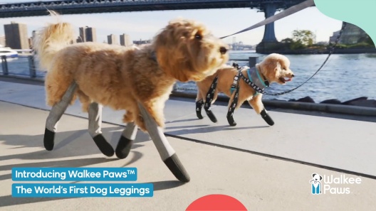 Walkee Paws Dog NEW DELUXE Boot Leggings - 4 sizes, 4 Colors