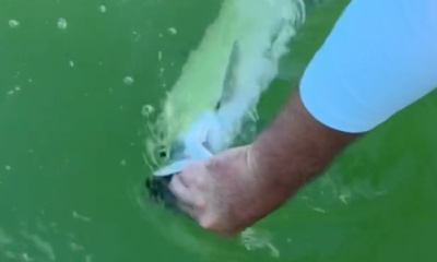 Key West Report Video 0